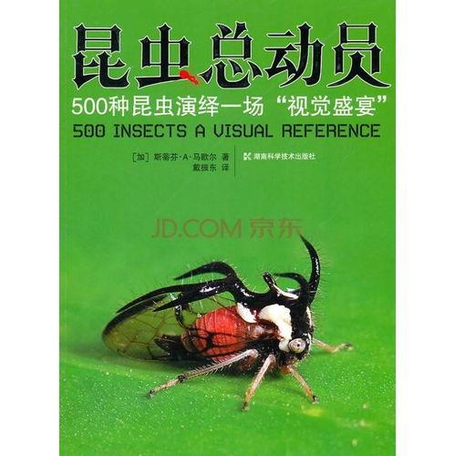 昆虫演绎之星爆料视频,揭秘神奇昆虫世界的精彩瞬间